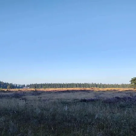 度假居 6 Person In Hovborg-by Traum