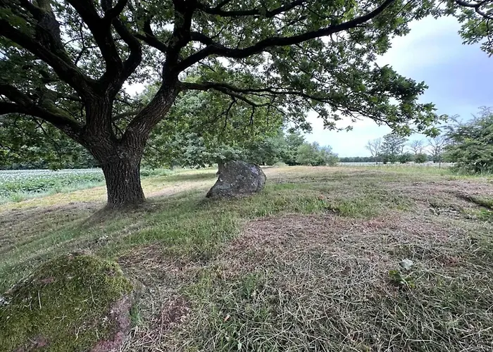 6 Person In Hovborg-by Traum *